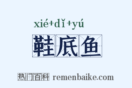 鞋底鱼是什么意思的图片
